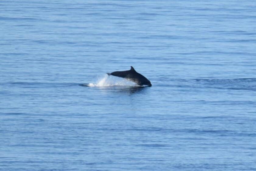 Moray View, Macduff, Aberdeenshire. Holiday home Macduff