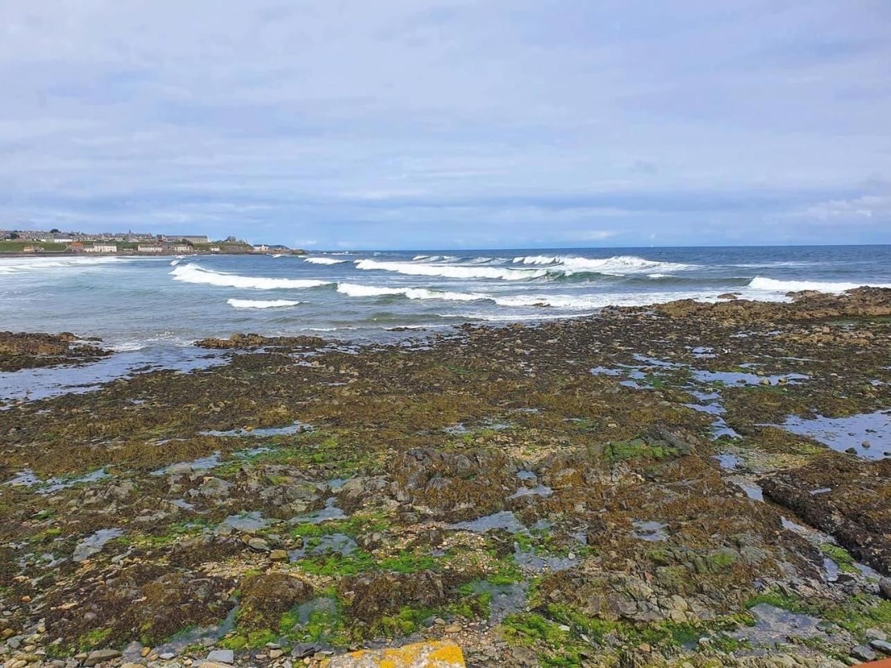 Moray View, Macduff, Aberdeenshire. *